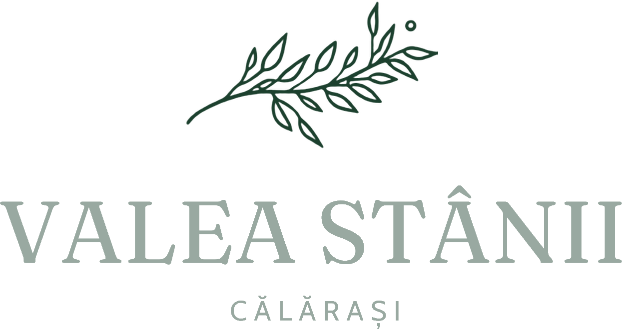 Valea Stânii — Călărași