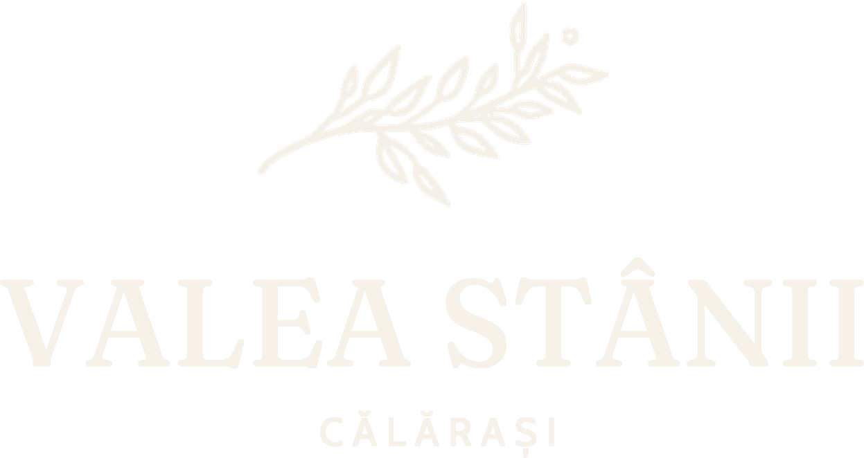 Valea Stânii — Călărași